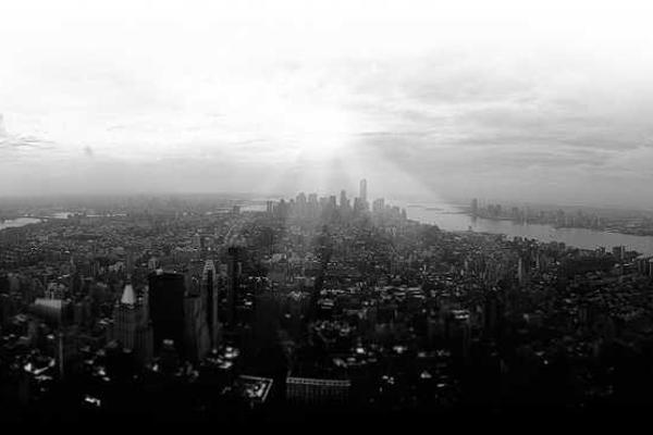 The Dynamic World of IT: Navigating Innovation and Essential Trends