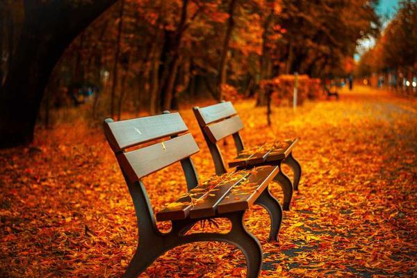 Navigating the Modern Business Landscape: Strategies for Sustainable Growth