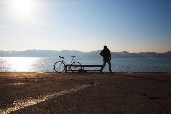 The Consultant's Compass: Navigating the World of Expert Advice and Business Growth