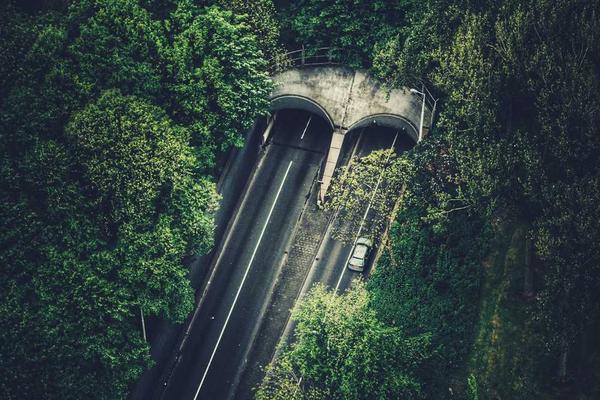 The Enduring Power of Companies: Evolution, Impact, and Future Trends
