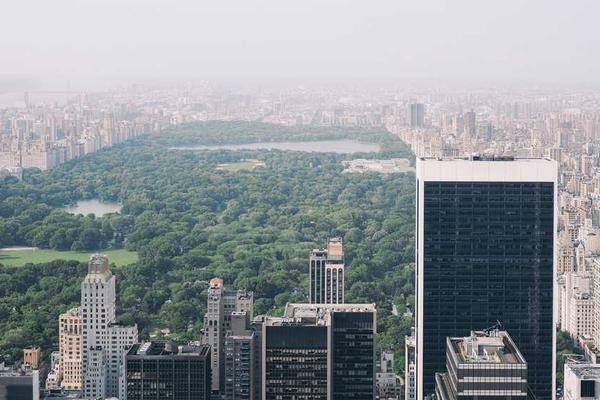 Navigating the Digital Frontier: Essential Strategies for Business Transformation