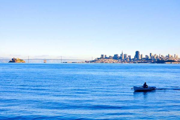 The Evolving Landscape of IT: Navigating the Digital Future