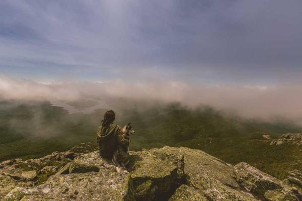 Navigating the Modern Business Landscape: Strategies for Sustainable Growth